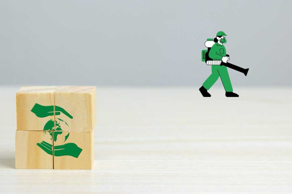 Read more about the article Czym jest ekologiczna dezynsekcja?