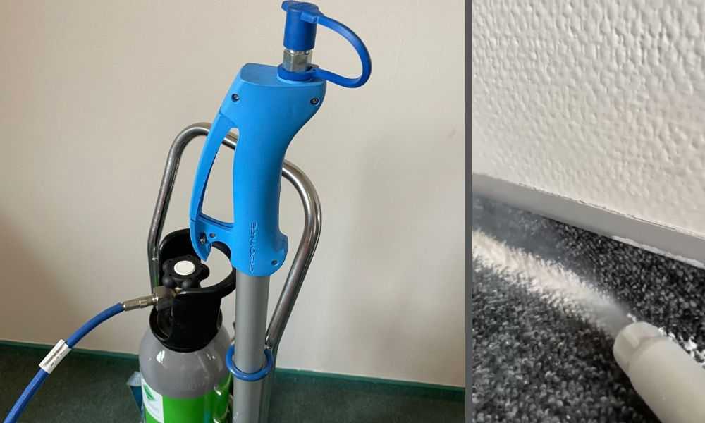 Read more about the article Czy wymrażanie pluskiew jest skuteczne? Opinie i przegląd metody