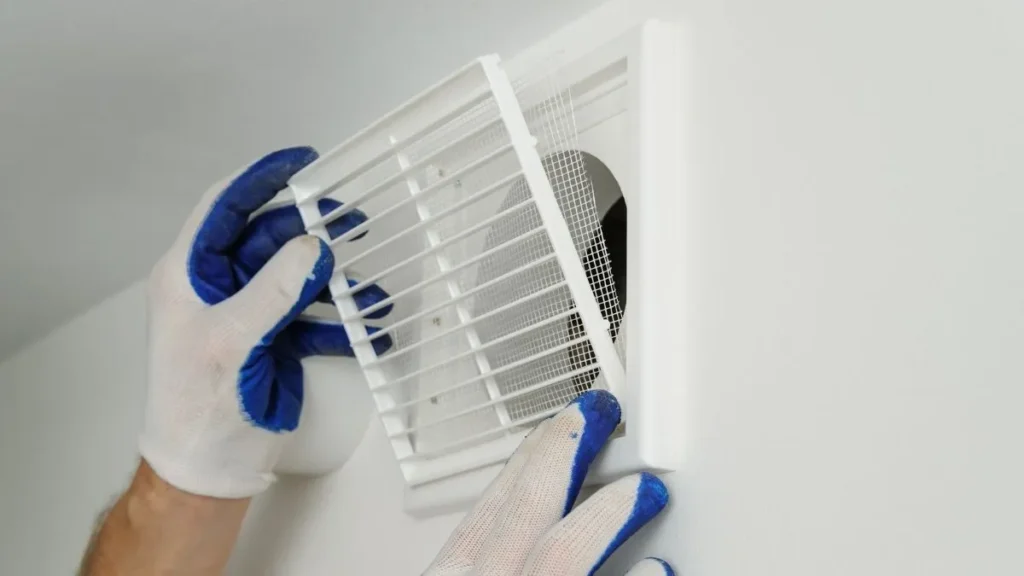 jak-pluskwy-dostaja-sie-do-domu