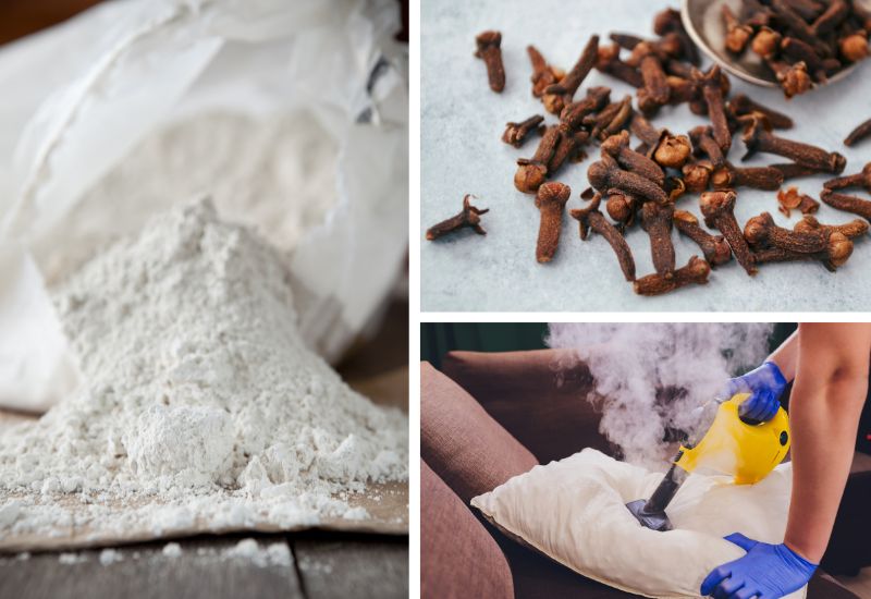 babcine-domowe-sposoby-na-pluskwy