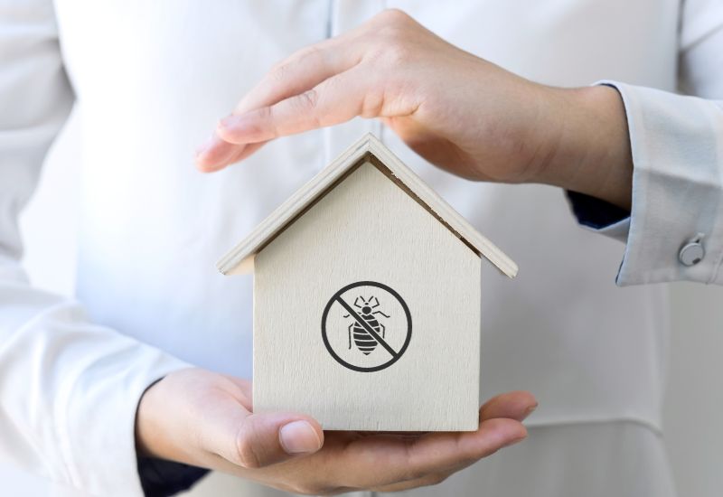 Read more about the article Dlaczego lepiej wykonać dezynsekcję całego mieszkania niż jednego pokoju?