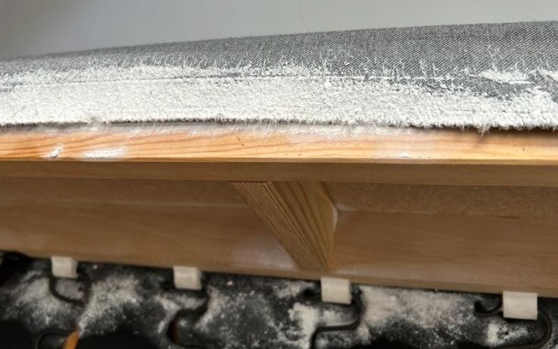 Read more about the article Czy wymrażanie może wywołać hibernację u pluskiew? Zdecydowanie nie! Sprawdź, dlaczego