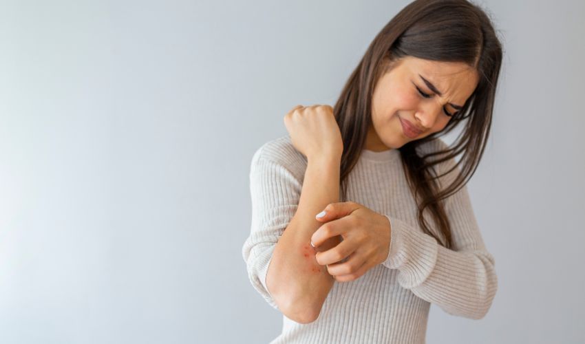 Read more about the article Ile żyje pluskwa bez jedzenia? Jak i na kim żeruje?