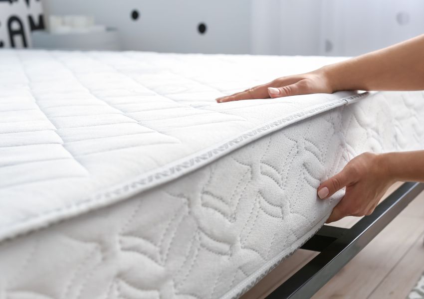 Read more about the article Ile trwa hibernacja pluskwy? Czy owady te rzeczywiście hibernują?