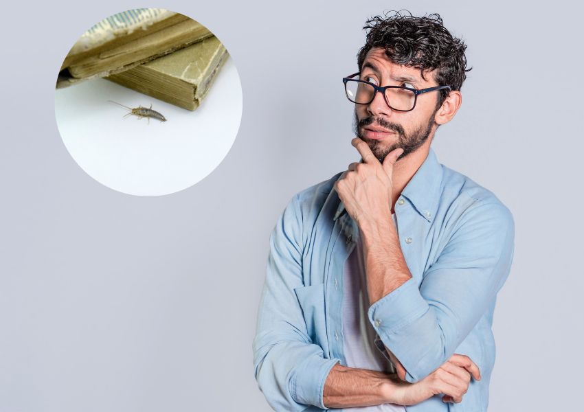 Read more about the article Skąd się biorą rybiki? Skąd wychodzą?