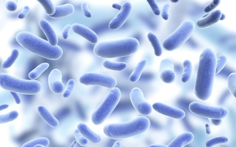 wirusy-pluskwy-choroby