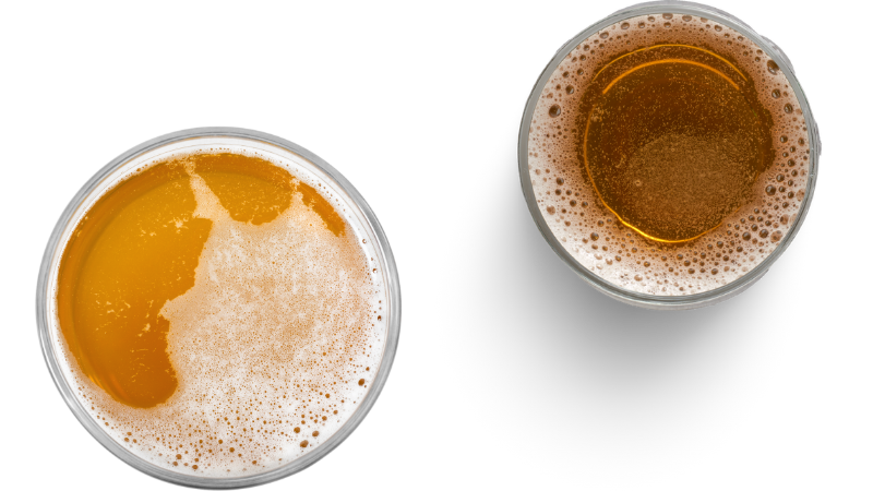 domowy-sposob-na-karaluchy-piwo-na-prusaki