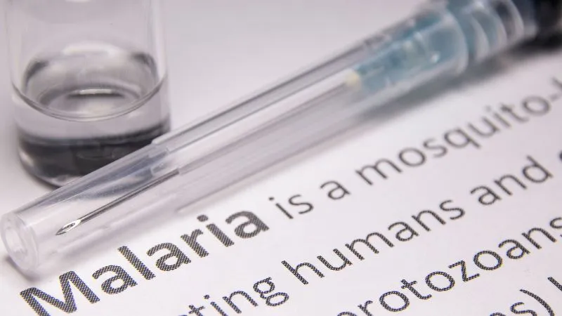 malaria-tropikalna-choroba-przenoszona-przez-komary