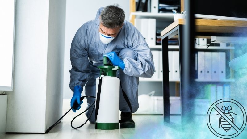 Read more about the article Co najlepsze na pluskwy? Poznaj najskuteczniejszą metodę!