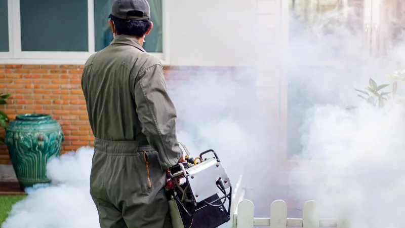 odkomarzanie-ochrona-choroby-przenoszone-przez-komary