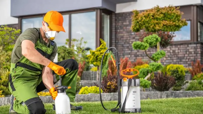 mrowki-w-ogrodzie-jak-sie-pozbyc