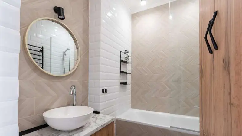 Read more about the article Czy małe srebrne robaczki w łazienkach to rybiki? Czy biorą się z wilgoci?