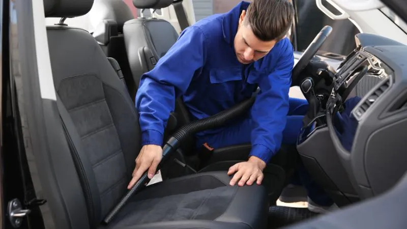 zwalczanie-plukwy-w-samochodzie