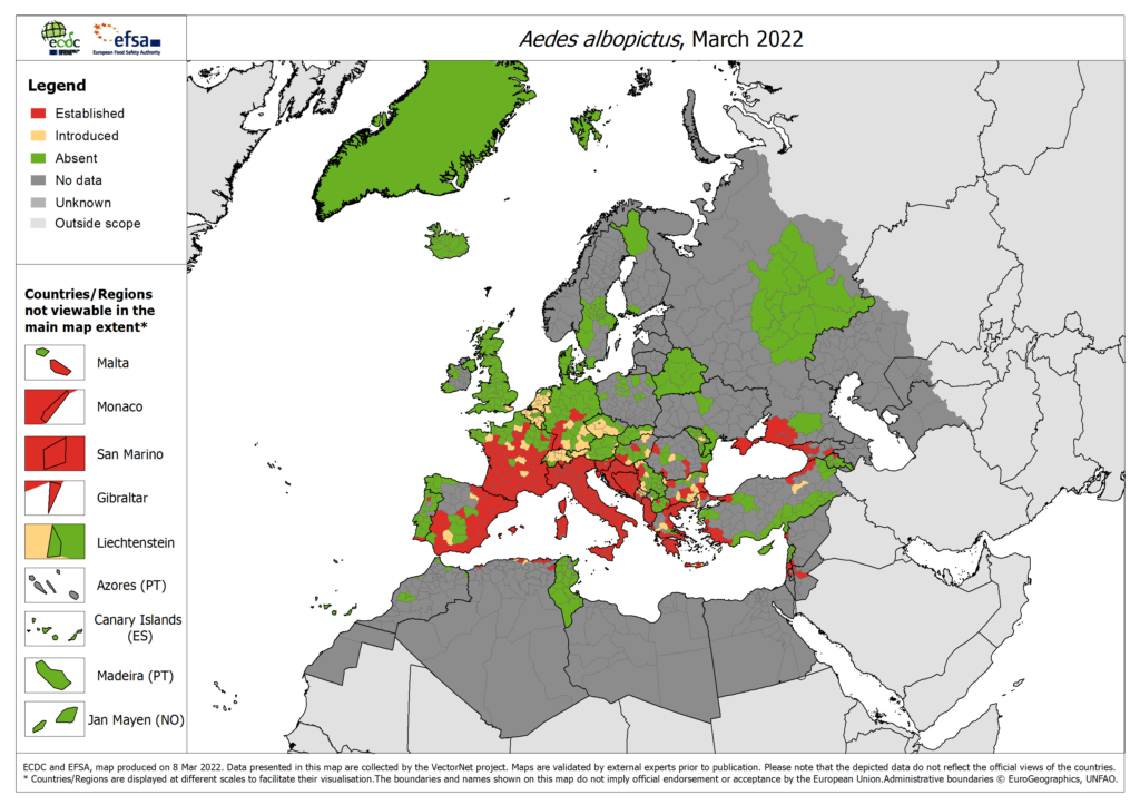 komary-tygrysie-w-europie