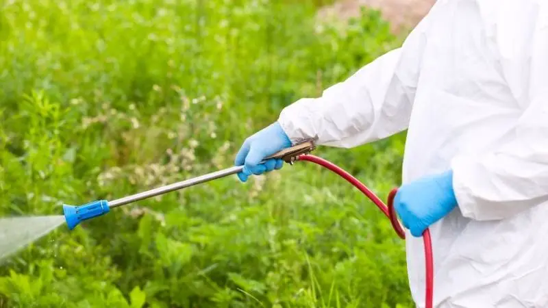 odkomarzanie-oprysk-na-komary