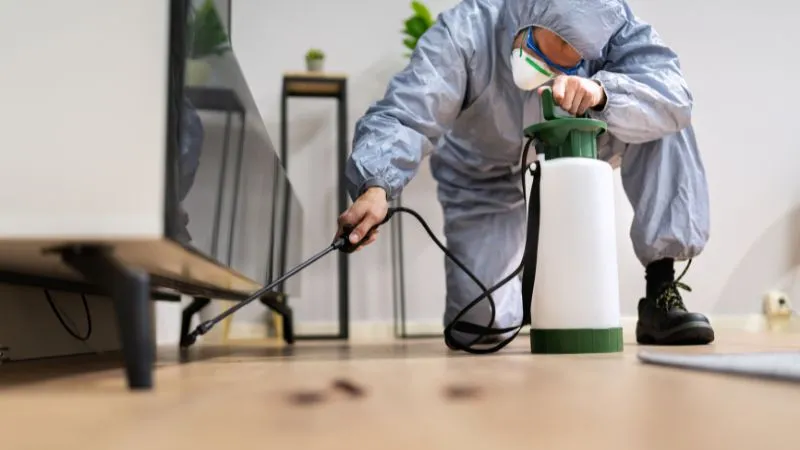 eliminacja-szkodnikow