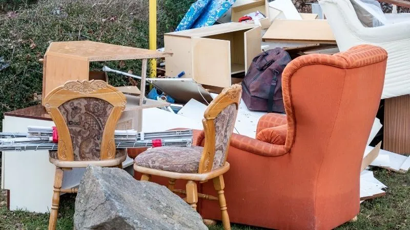 meble-na-smietniku-przez-pluskwy