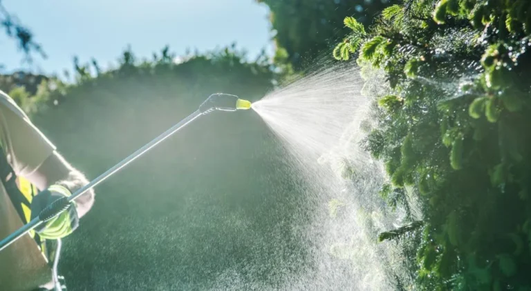 odkleszczanie-ogrodu