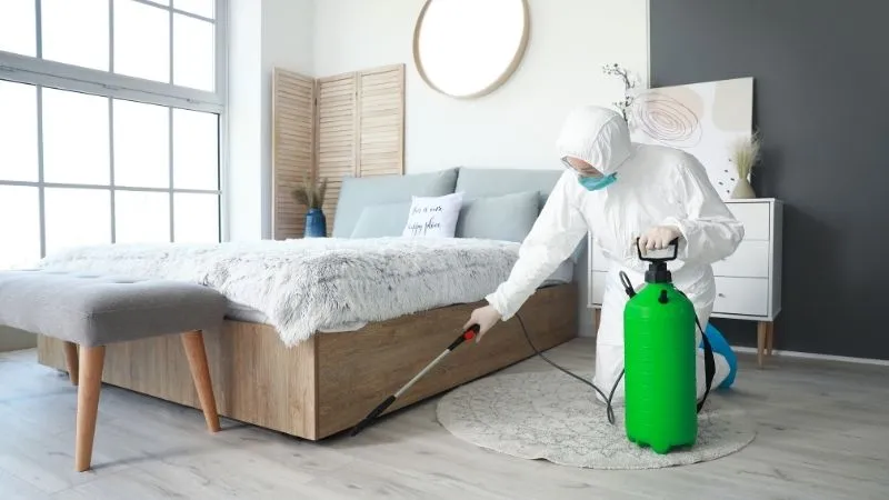 odpluskwianie-mieszkania