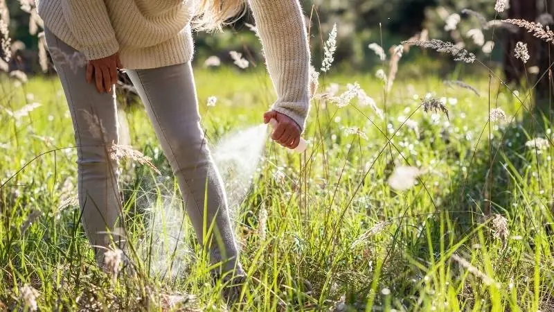 czego-boja-sie-kleszcze