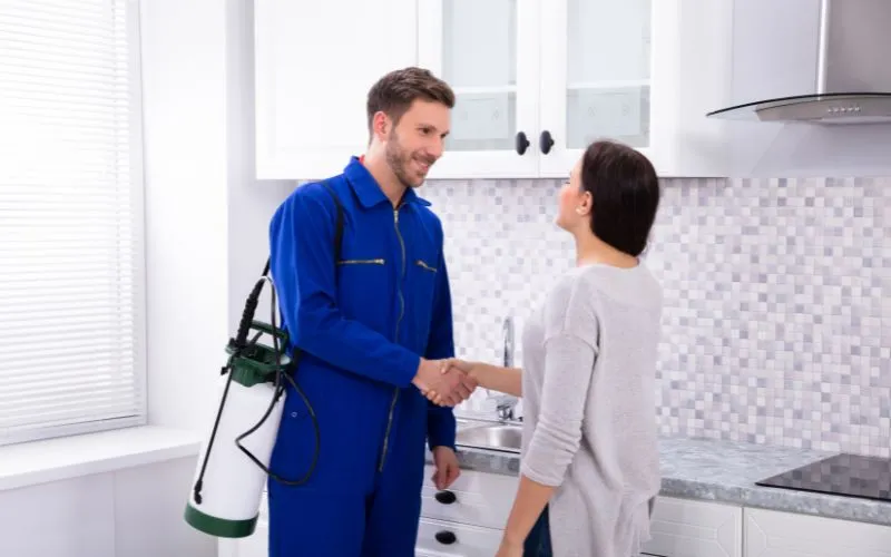 dezynsekcja-owadow-wspolpraca