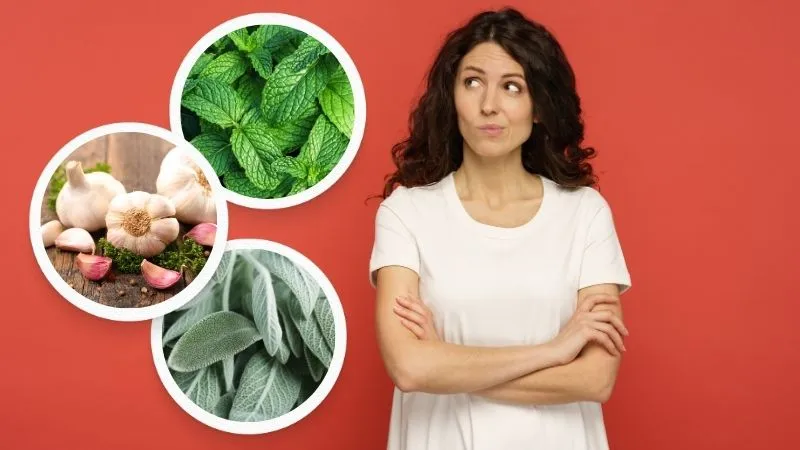 domowe-sposoby-na-kleszcze