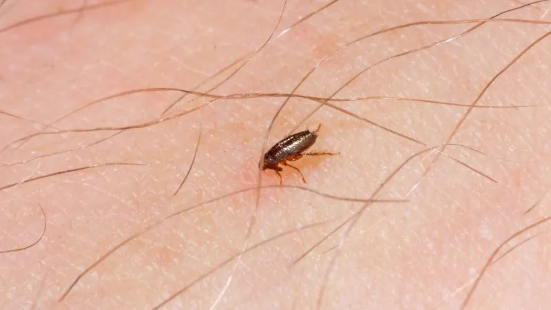 co-gryzie-nas-w-nocy