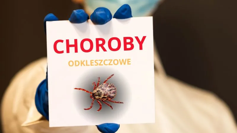 Read more about the article Jakie choroby przenoszą kleszcze?