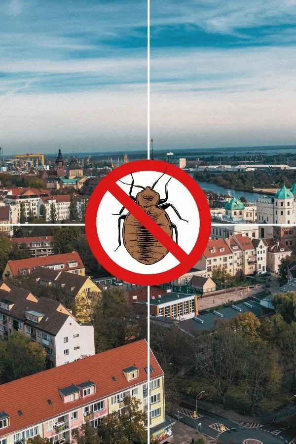 odpluskwianie-szczecin