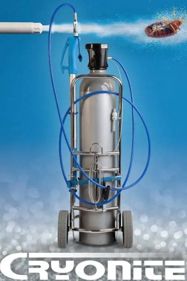 wymrażanie pluskiew domowych metoda cryonite