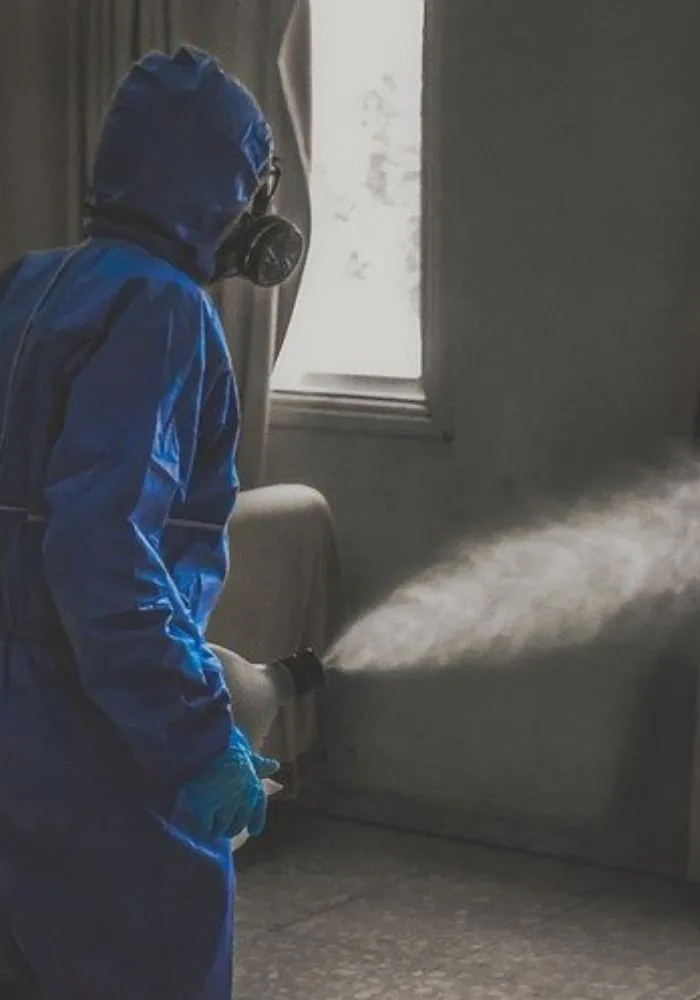 zamglawianie-ulv-na-zimno