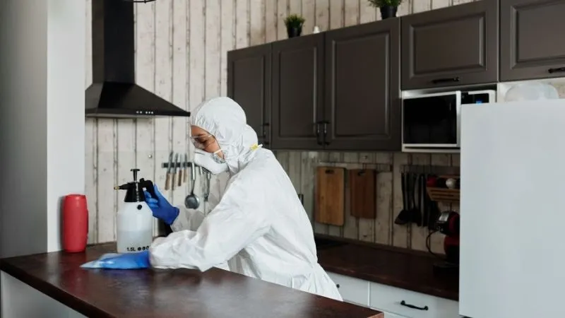 zwalczanie-moli-spozywczych