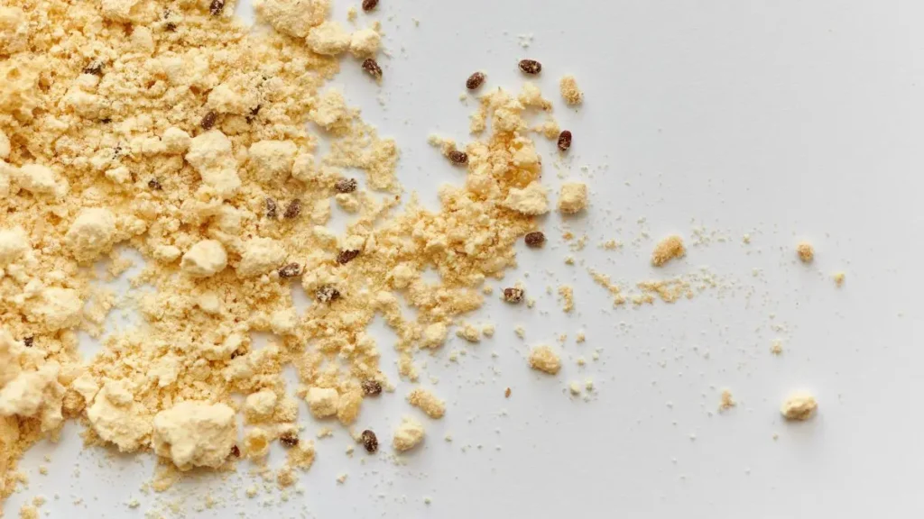 Read more about the article Żywiak chlebowiec – jak się pozbyć? Jak rozpoznać?