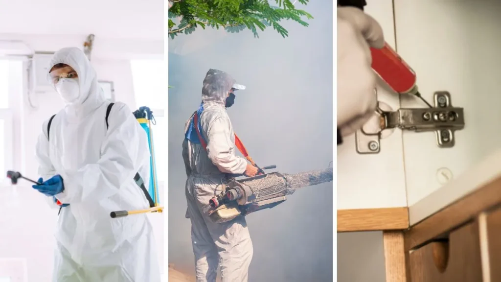 dezynsekcja-rodzaje-zabiegow