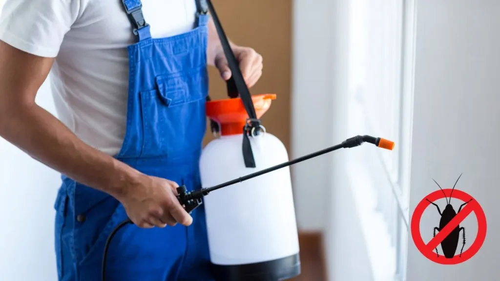 Read more about the article Czym jest dezynsekcja? Czym różni się od dezynfekcji i deratyzacji?