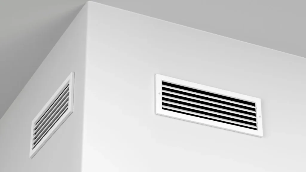 pluskwy-przenosza-sie-miedzy-mieszkaniami