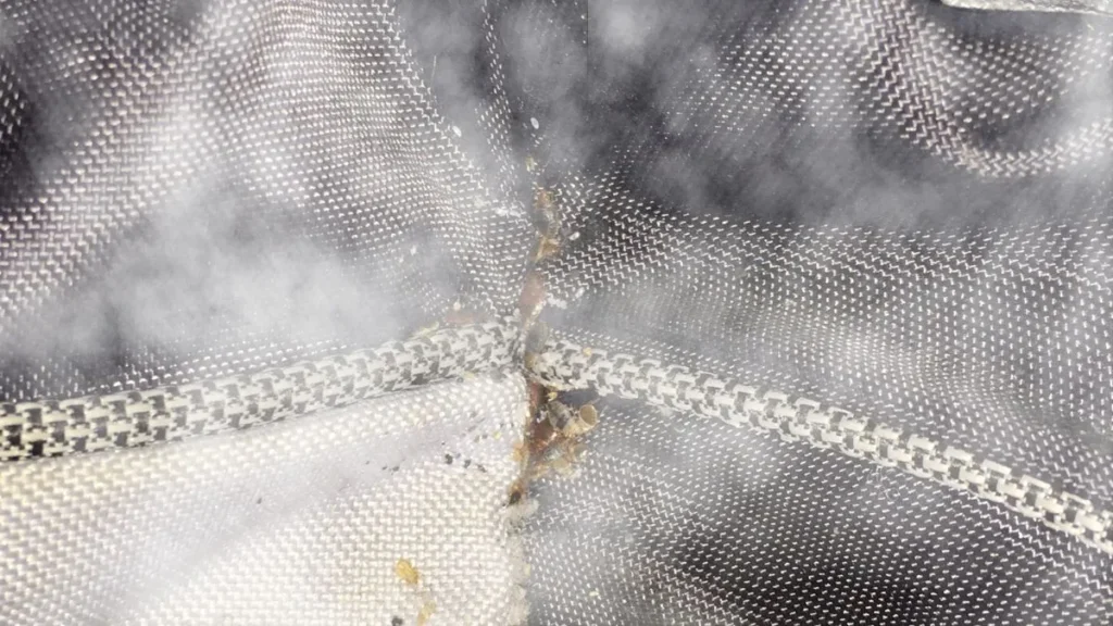 metoda-zamglawiania-na-pluskwy