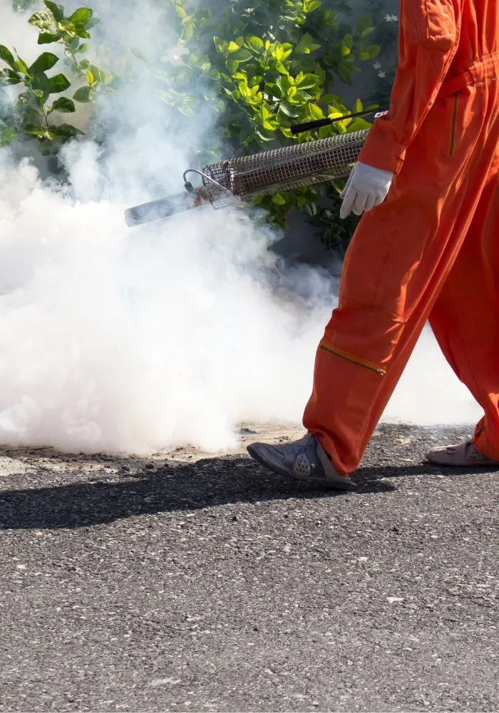 zamglawianie-termiczne