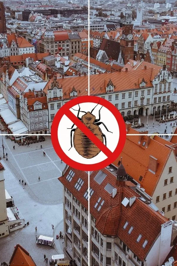 odpluskwiaie-wroclaw