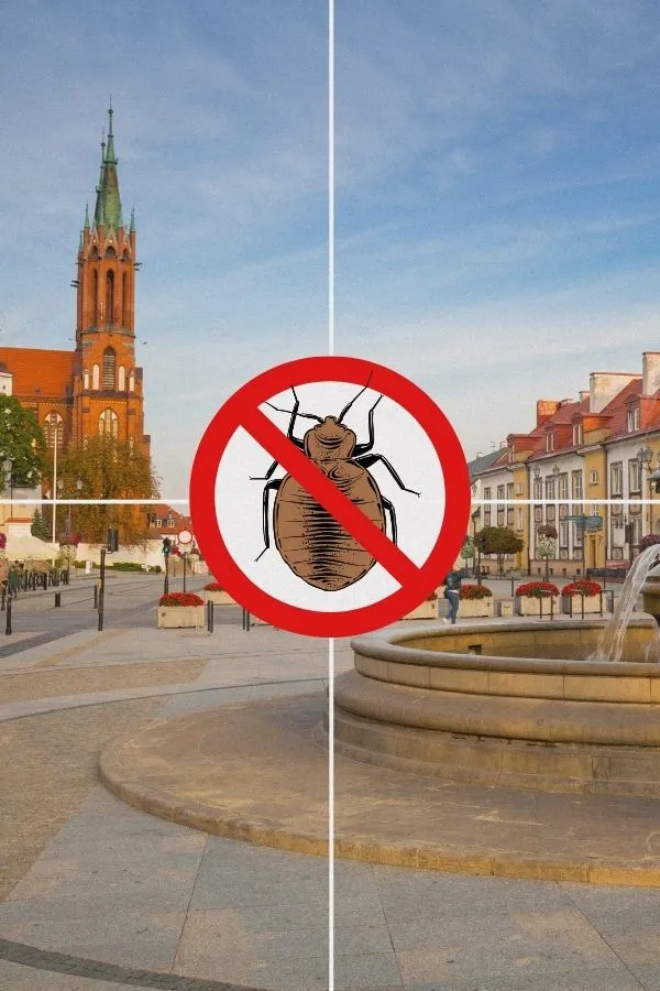 odpluskwianie-bialystok