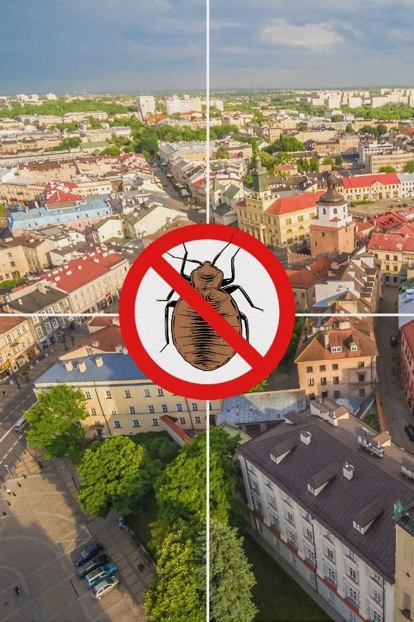 odpluskwianie-lublin