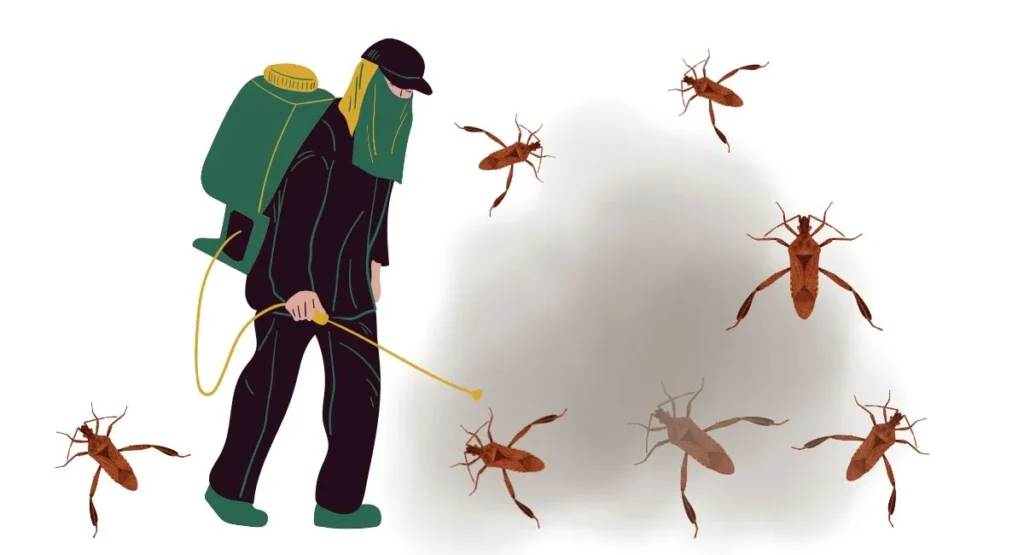 co odstrasza wtyki amerykańskie