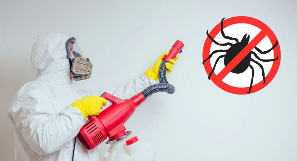 jak-pozbyć-się-obrzeżków-gołębich