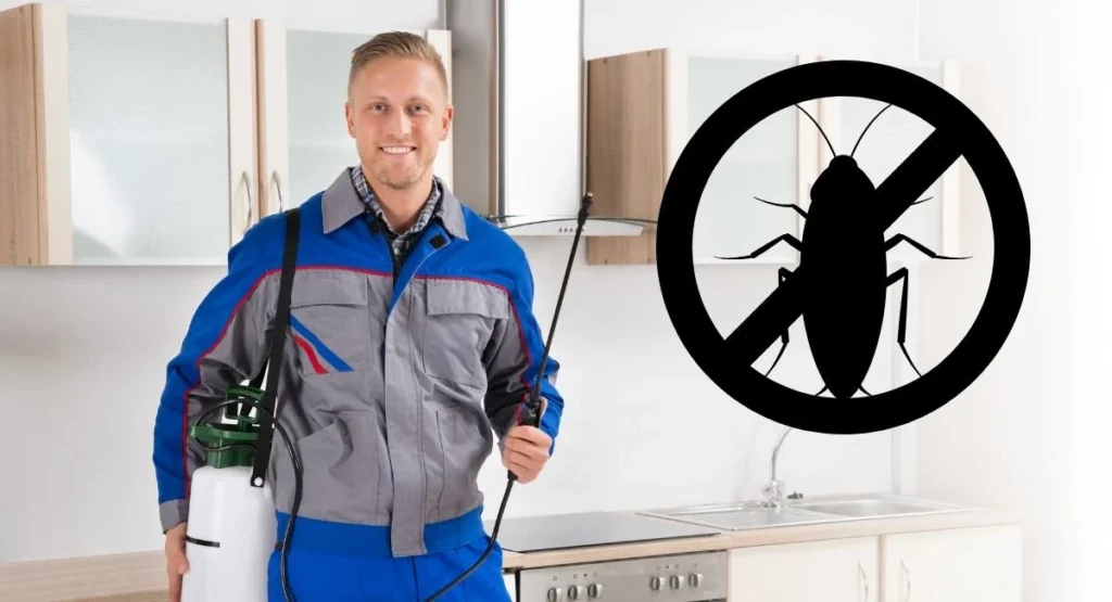 czy-karaluchy-lataja-dezynsekcja