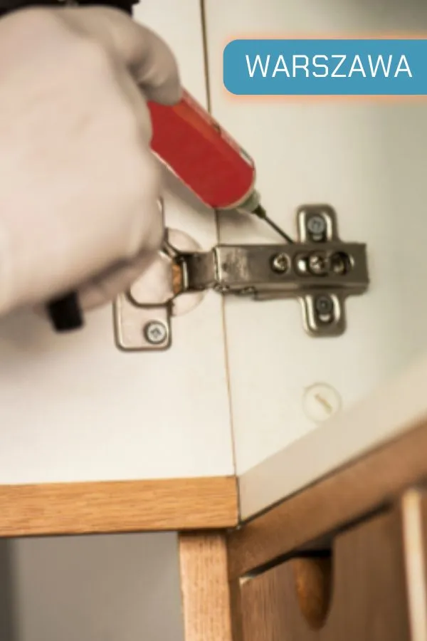 dezynsekcja rybików warszawa zwalczanie rybików