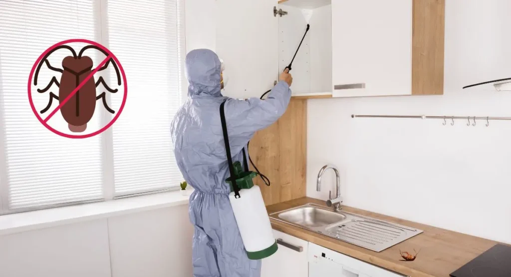 jak-zwalczyć-karaluchy