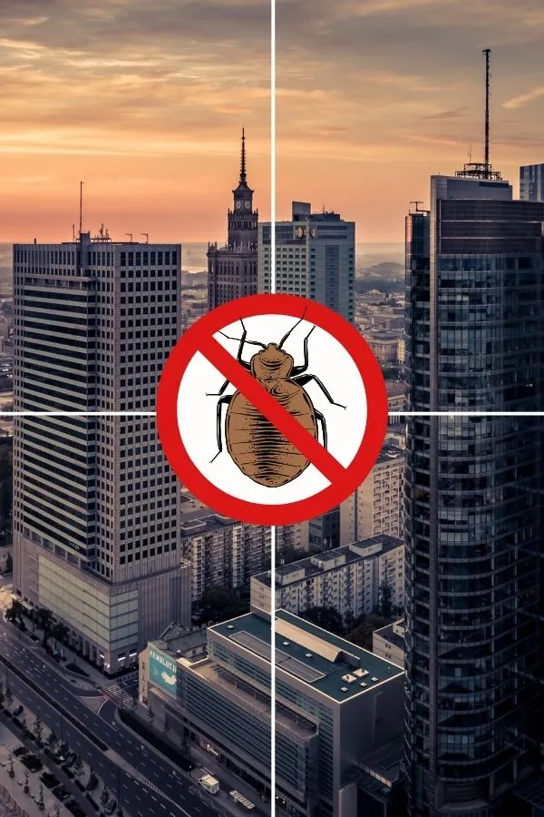 odpluskwianie warszawa zwalczanie pluskiew