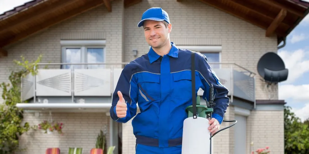 zwalczanie karaluchów warszawa dezynsekcja prusaków