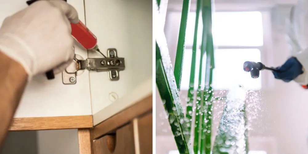 zwalczanie prusaków warszawa dezynsekcja