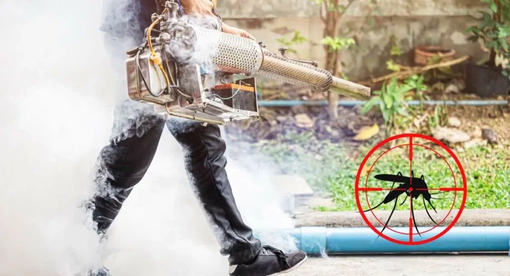 Odkomarzanie-Szczecin-Warszawa